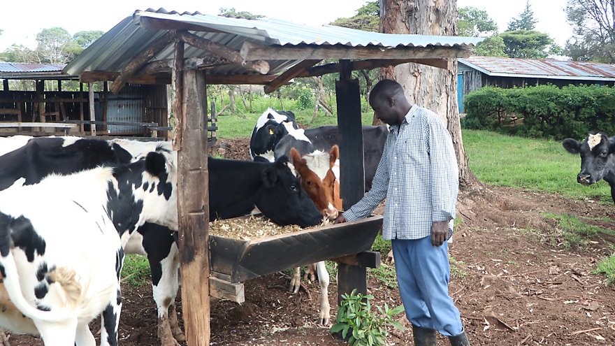 Farmers in in Kenya