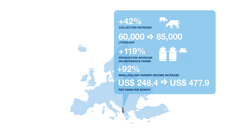 Infographic milk and smallholder farmers in Albania