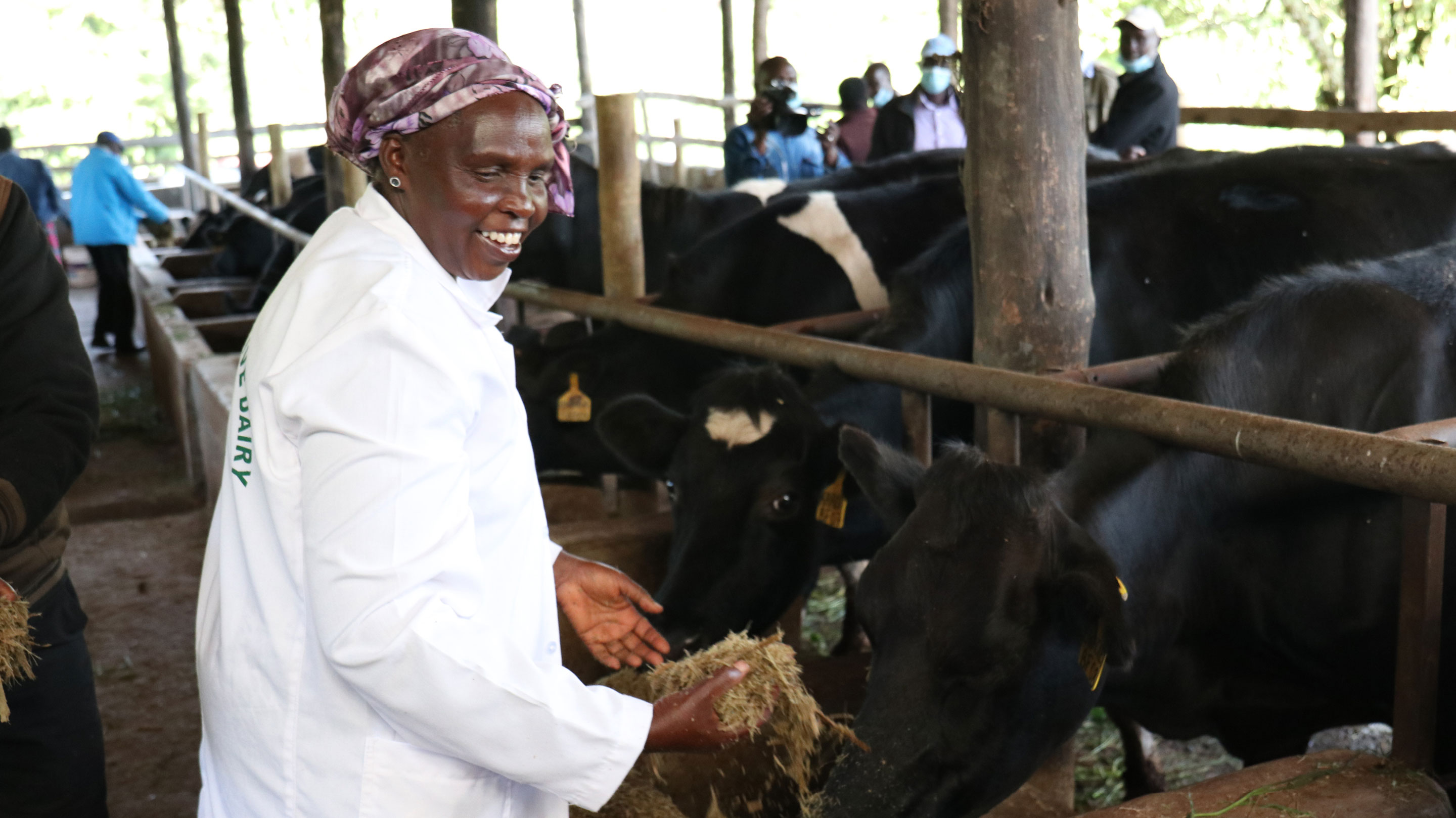 Madgeline Buigut, Dairy hub farmer in in Kenya