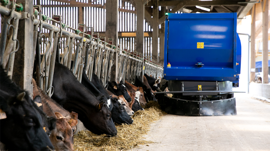 Cows and feed distribution robot OptiWagon