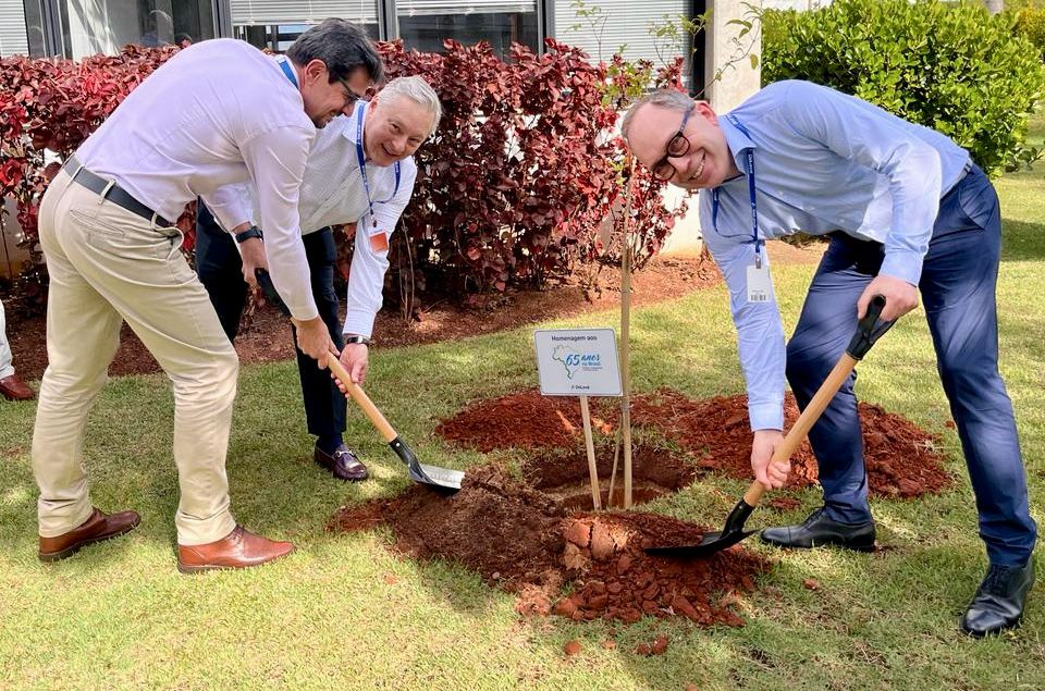 DeLaval team and CEO planting trees